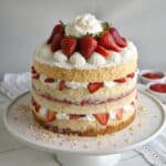 Strawberry Shortcake Layer Cake 5 strawberry shortcake layer cake