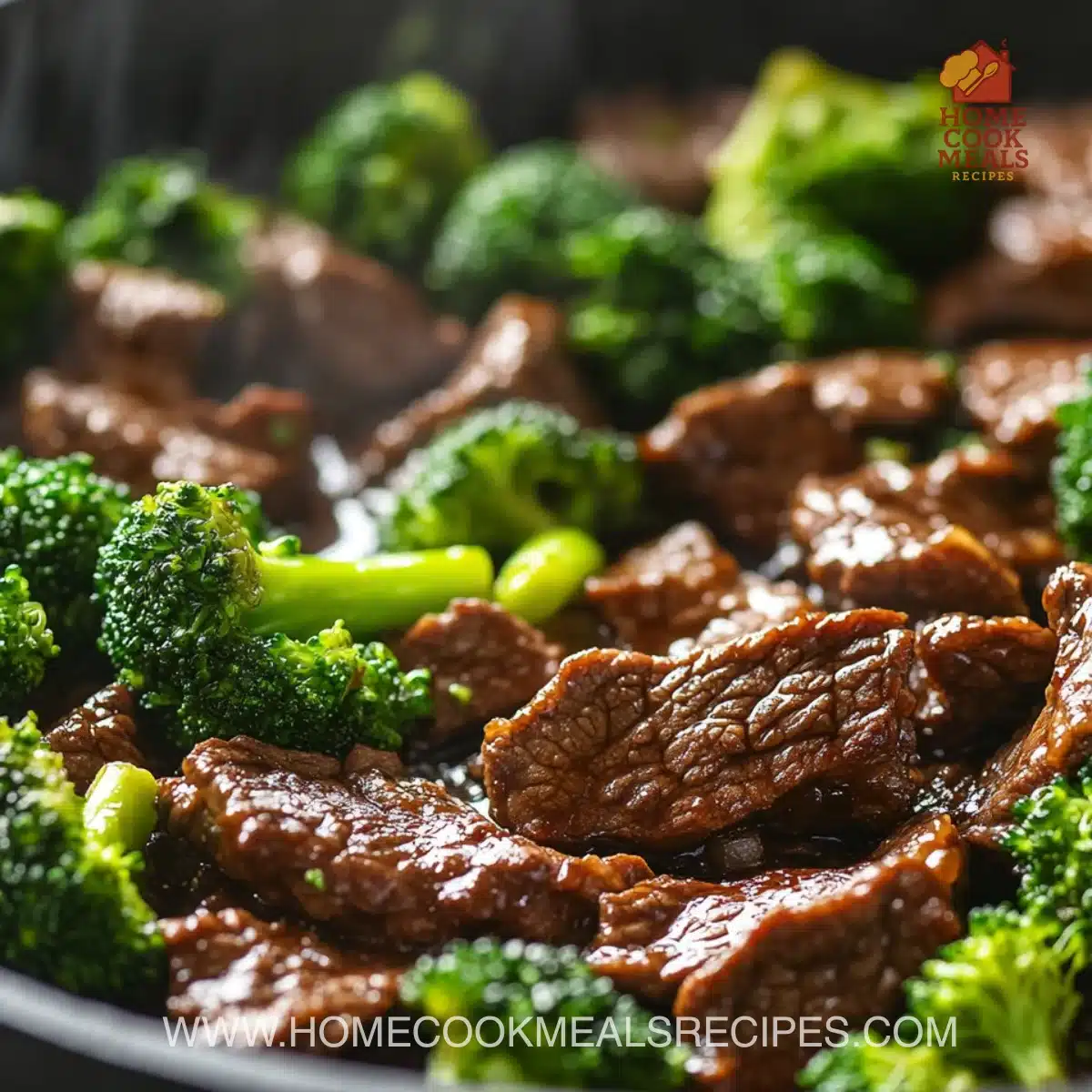 Beef and Broccoli Stir-Fry