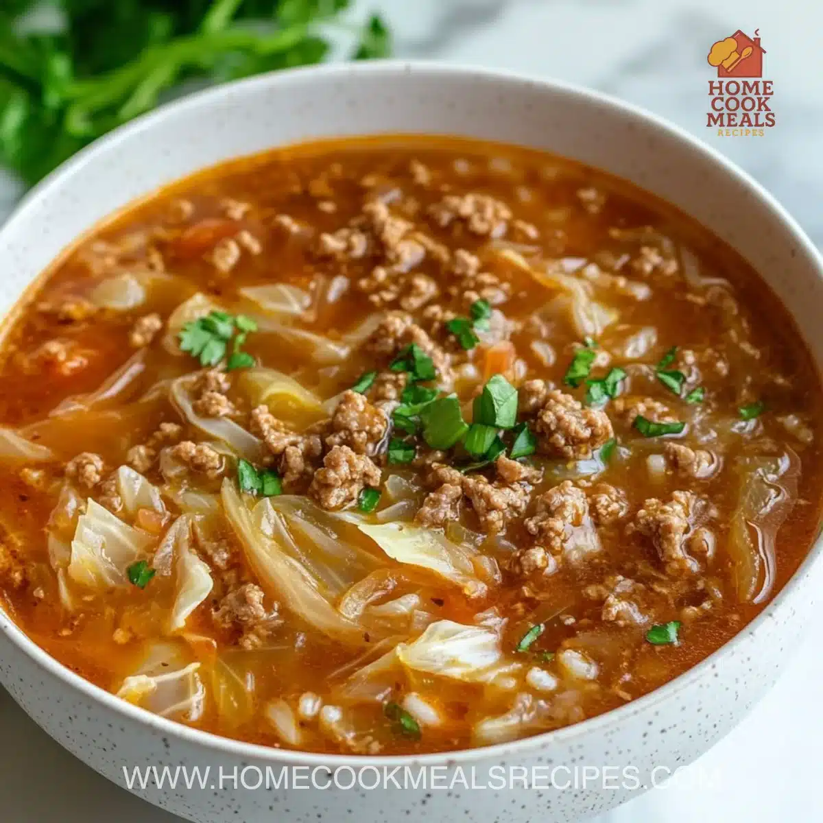 Cabbage Roll Soup