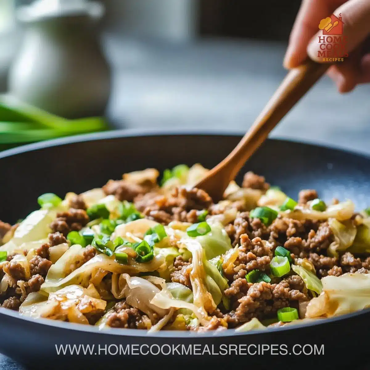 Chinese Ground Beef and Cabbage Stir-Fry