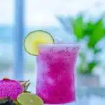 Dragon Fruit Colada 12 dragon fruit colada 2026 02 20 221434 819x1024 1