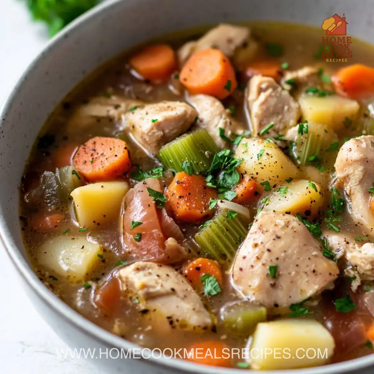 Slow Cooker Chicken Stew Recipe