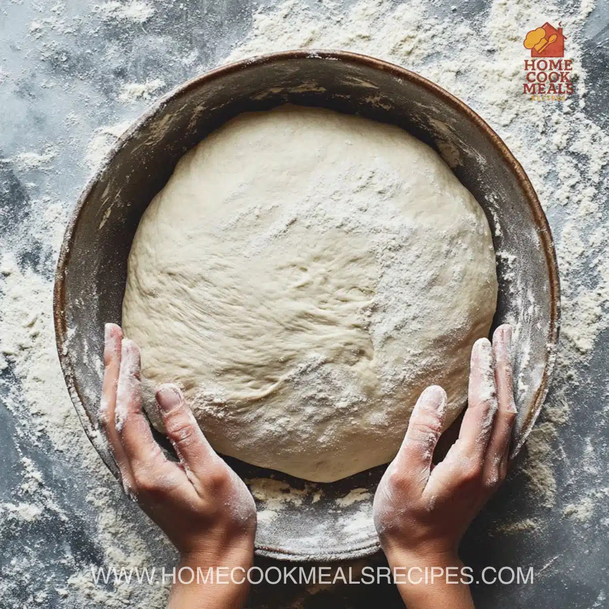 artisan pizza dough- crispy, chewy, bubbly crust