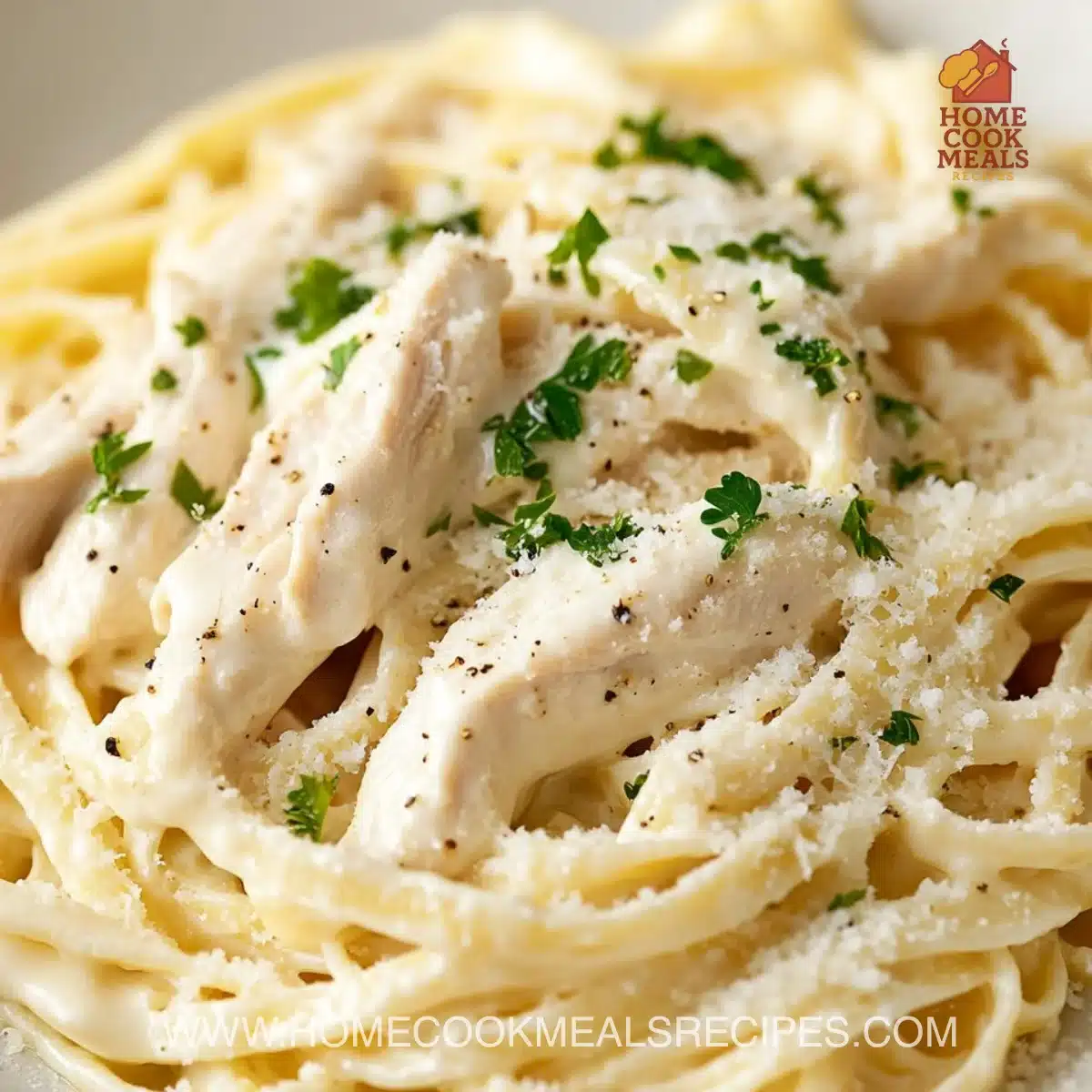 Chicken Alfredo
