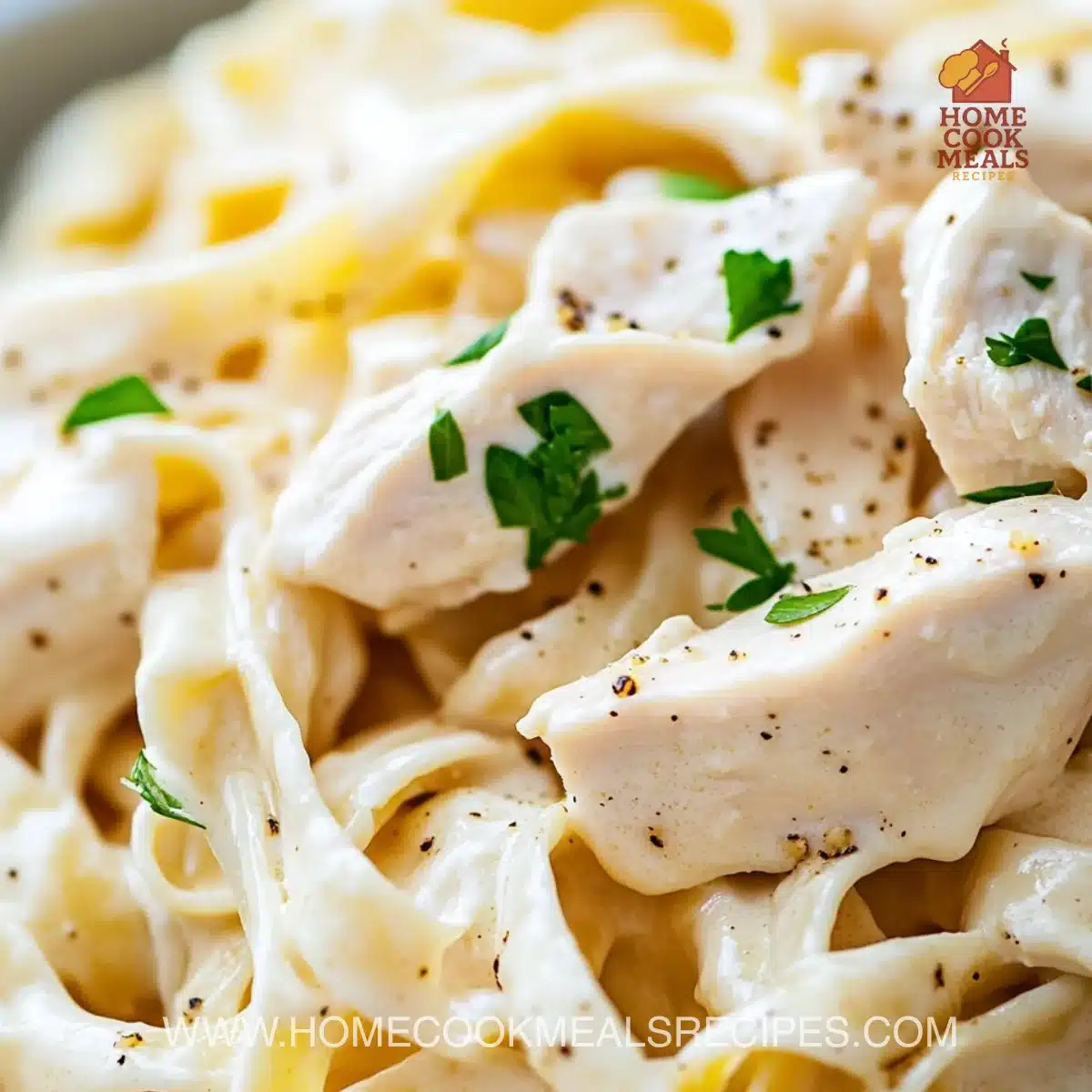 Chicken Alfredo Pasta