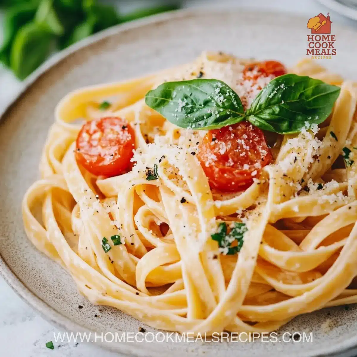 Creamy Tomato Garlic Pasta