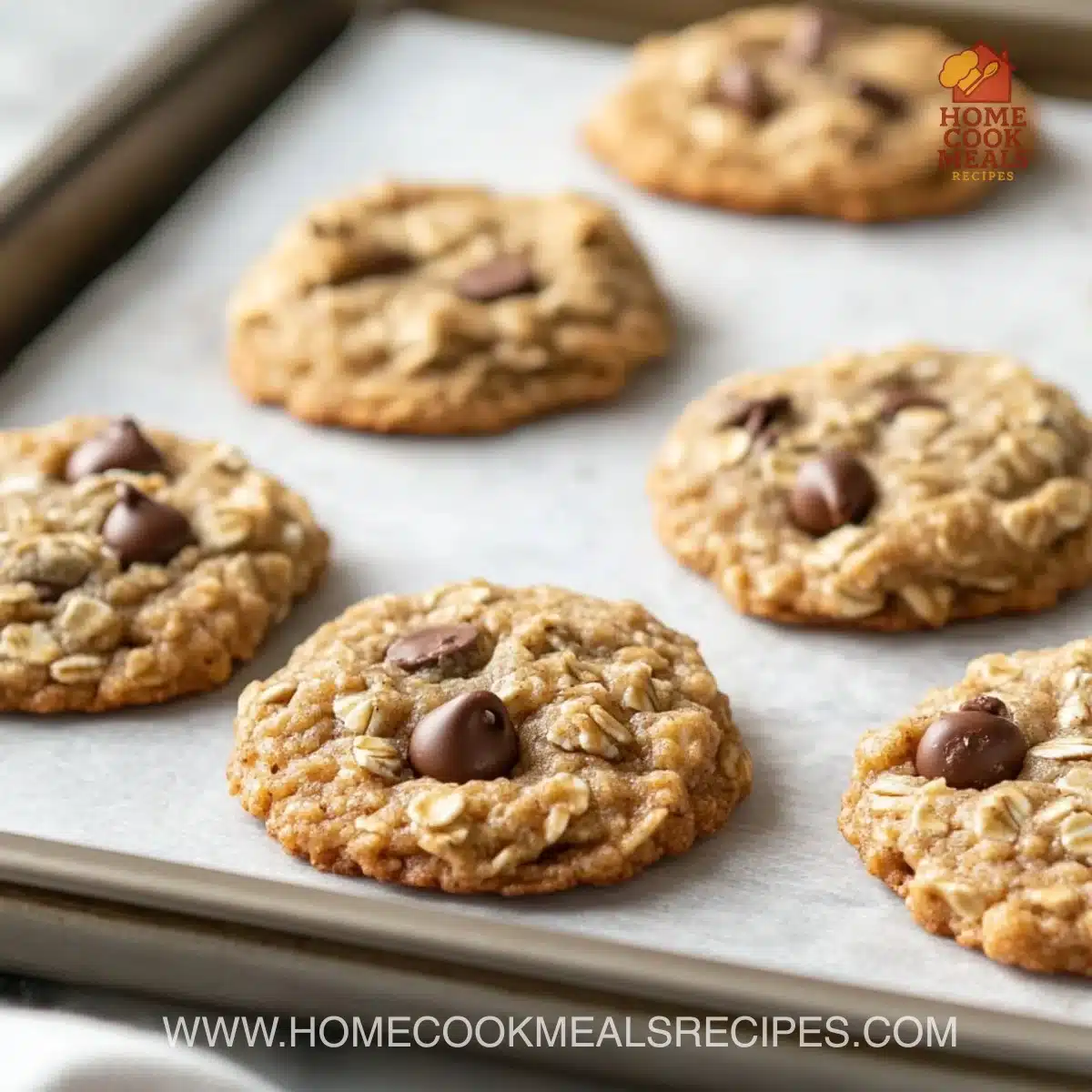 Crumbl Oatmeal Chocolate Chip Cookies 7 Crumbl Oatmeal Chocolate Chip Cookies