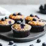 hearty blueberry protein muffins 2026 03 26 205230 1