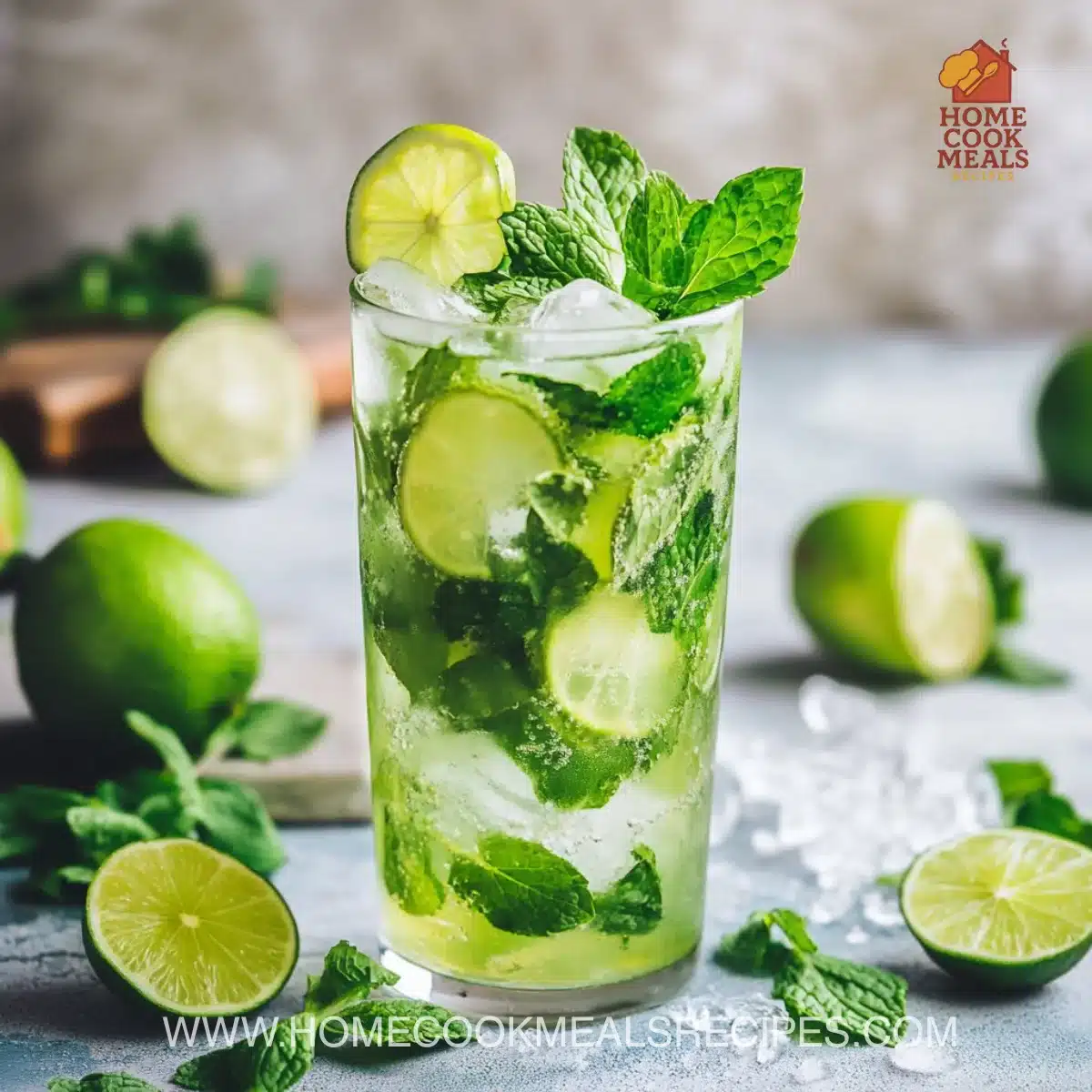 Non-Alcoholic Mojito Mocktail