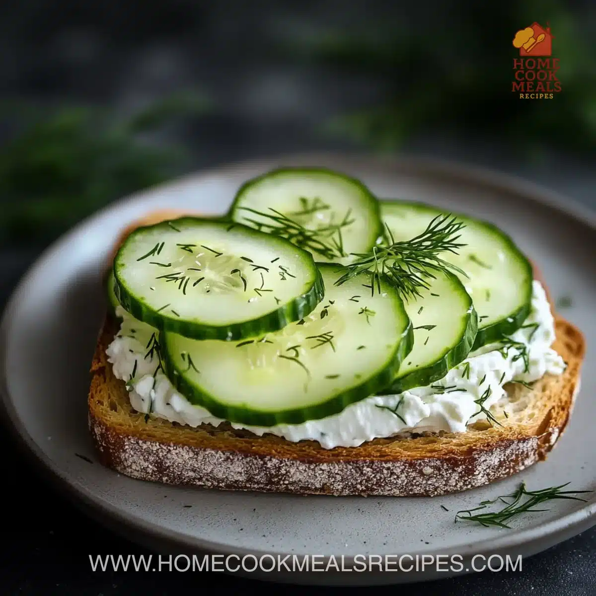 Quick Cucumber Salad Sandwiches 5 Quick Cucumber Salad Sandwiches