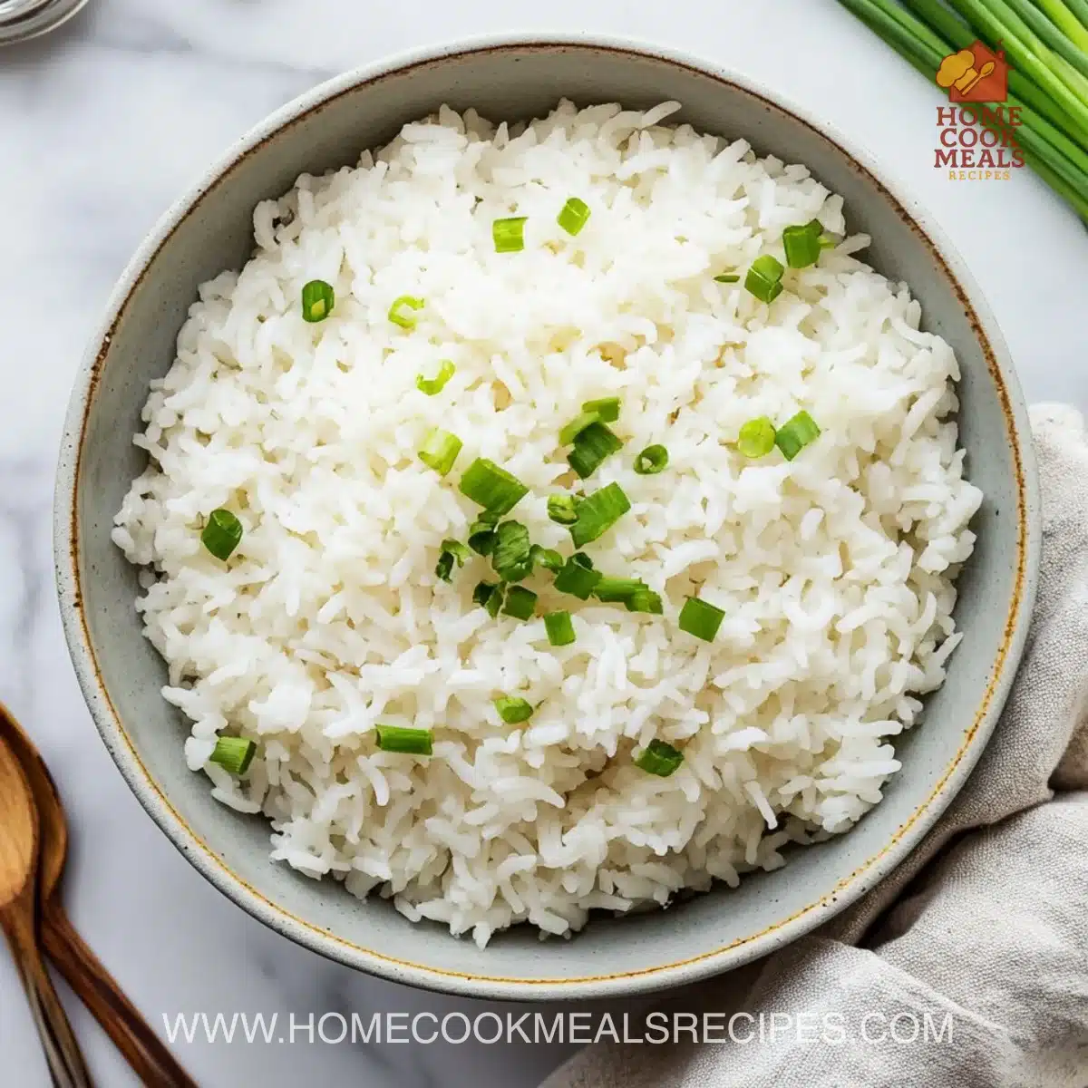 Seasoned Rice