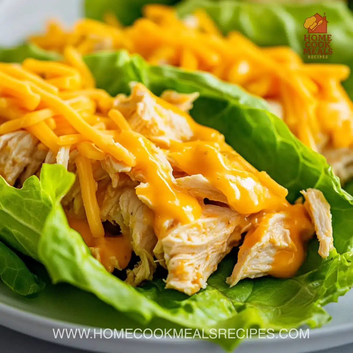 Cheesy garlic chicken wraps filled with tender chicken and melted cheese