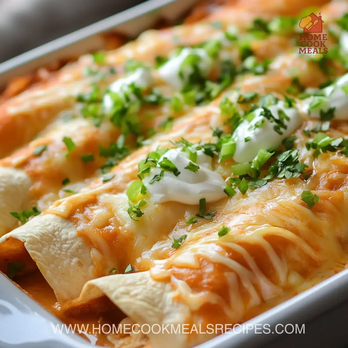 Delicious Chicken Enchiladas garnished with cheese and fresh cilantro