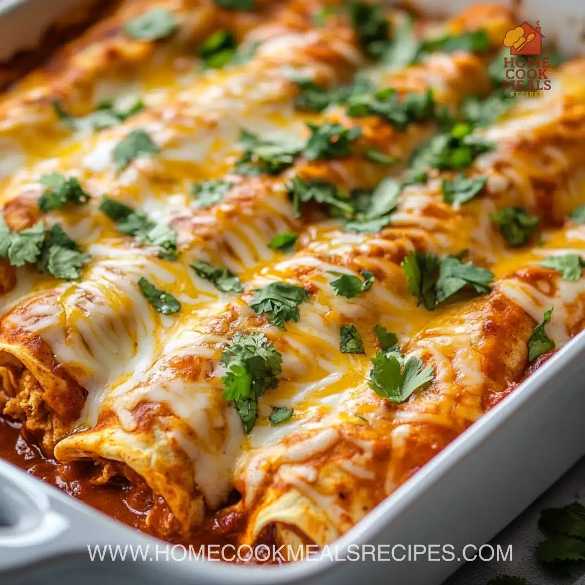 Chicken Enchiladas with Homemade Red Enchilada Sauce